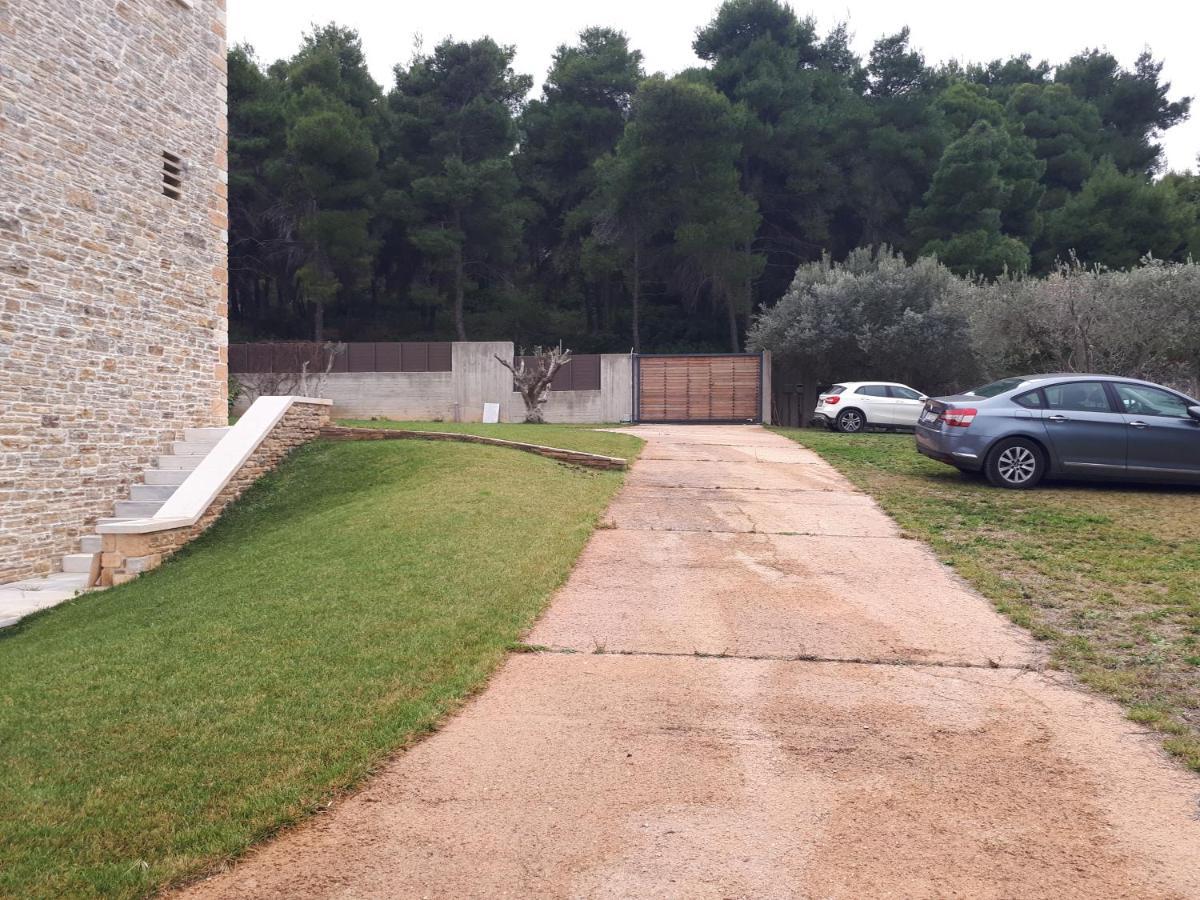 Villa Kalamos / Sea View And Pool Nearby Athens Εξωτερικό φωτογραφία