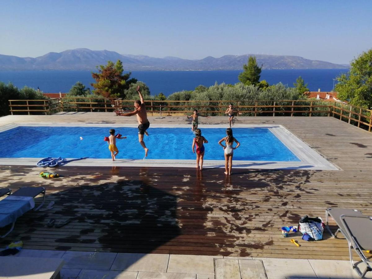 Villa Kalamos / Sea View And Pool Nearby Athens Εξωτερικό φωτογραφία