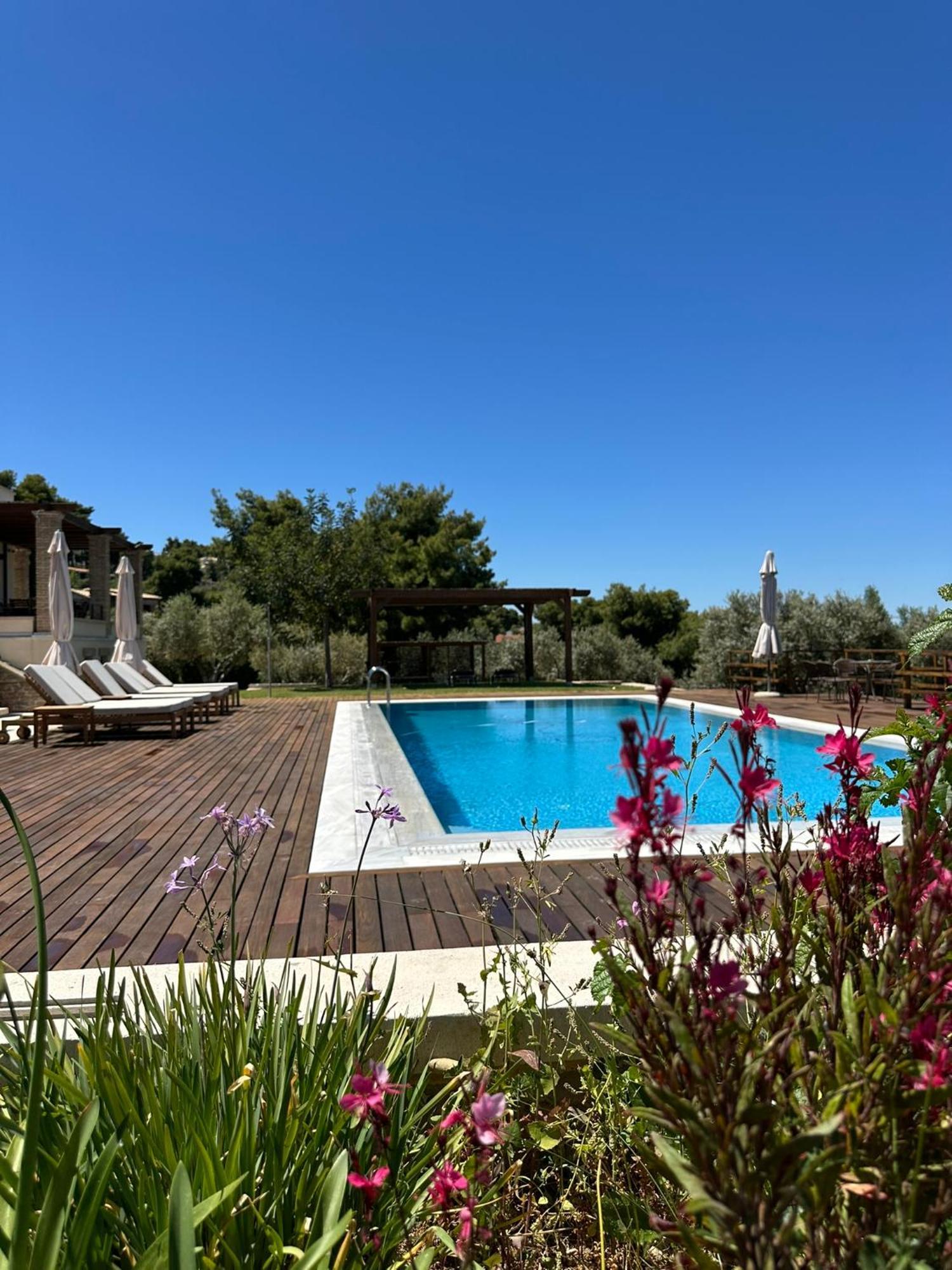 Villa Kalamos / Sea View And Pool Nearby Athens Εξωτερικό φωτογραφία